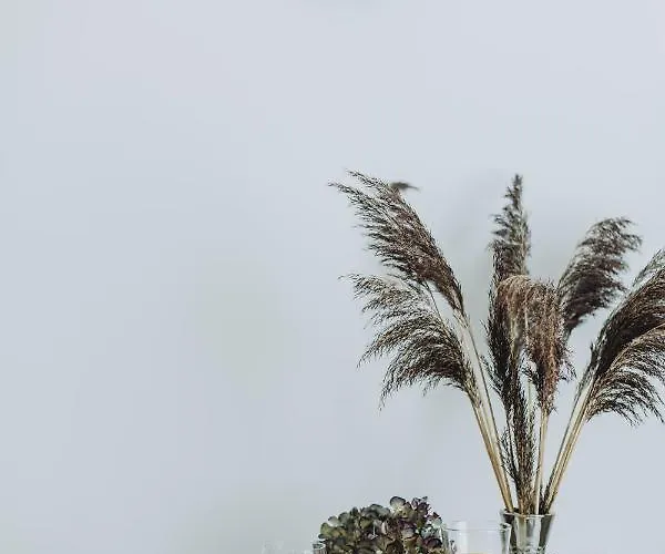 Dzīvoklis Residential Barona In Centre